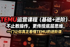 TEMU运营课程（基础+进阶），不止教操作，更传授底层思维，一门让你真…