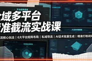 全域多平台精准截流实战课｜7大截流核心玩法、6大平台矩阵布局、私域导…