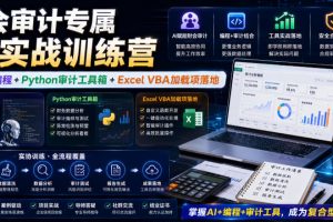 财会审计专属AI实战训练营|AI协同编程+Python审计工具箱+Excel VBA加…