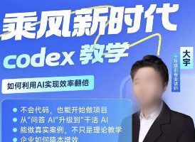 大宇从0到1学Codex实战课2026【画质不错只有视频】