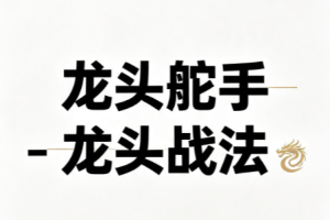 龙头舵手-龙头战法课程 视频+文档