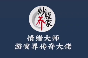 炒股养家心法音频+文档