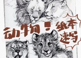 凶猛悍兔动物纸本速写2026年1-3期合集【画质不错有课件笔刷】