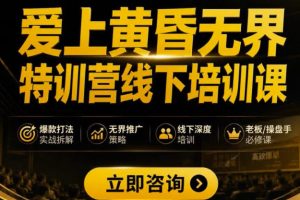 爱上黄昏无界特训营AI推广实战7月27-30杭州线下课，AI落地淘宝最完整的…