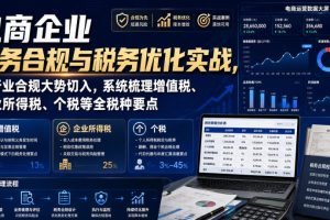 电商企业财务合规与税务优化实战,从行业合规大势切入,系统梳理增值税…
