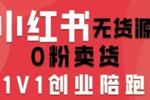 爱野佩佩小红书无货源0粉电商课，开店准备、选品策略、笔记撰写、视频…