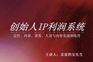 创始人IP利润系统8月训练营,定位、内容、获客、人设与内容实战训练营…