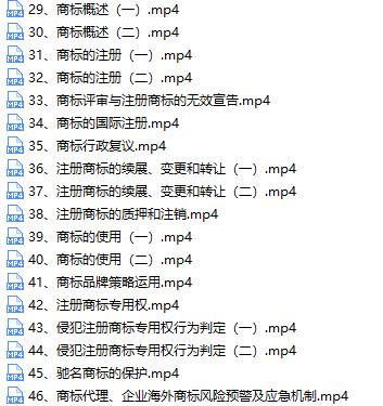 2020中级经济师备考知识产权基础精讲线上培训视频课程(46讲)