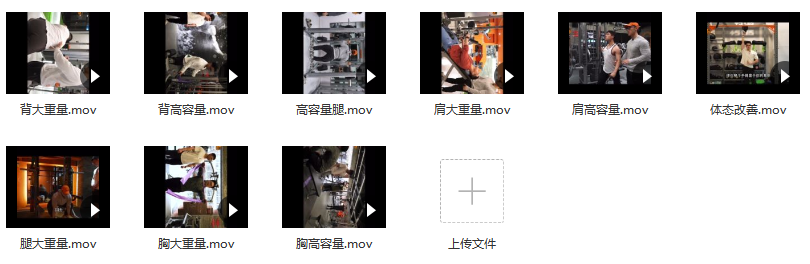 小萝卜四分化训练(进阶版)