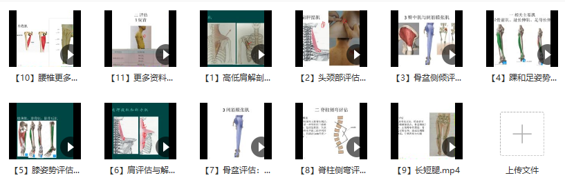 郑大解剖学人体姿势评估与解剖学分析(进阶)徐高磊