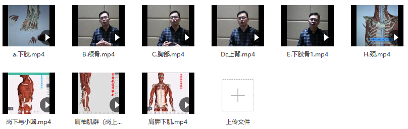 李哲教你学解剖视频9集