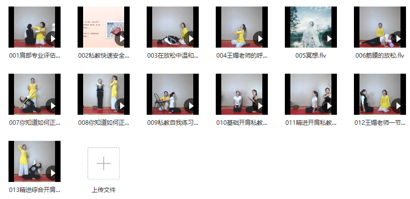 王媚-安全无痛开肩疗愈课程,拯救你僵硬的肩背13节课
