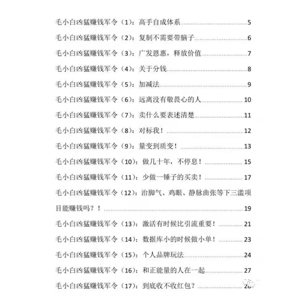 毛小白凶猛赚钱军令 1文档
