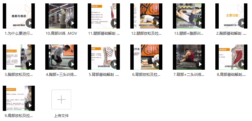 小萝卜四分化训练(基础版)