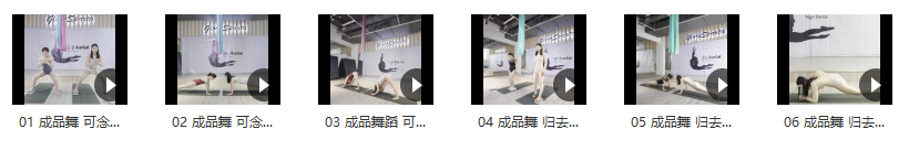 赵思齐 表演级空中舞韵 高级