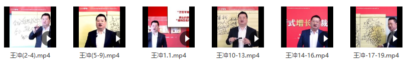 王冲 :商业模式+团队管理+流量破局19节完整版