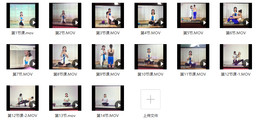 邱源维密塑型私教 视频 14节课