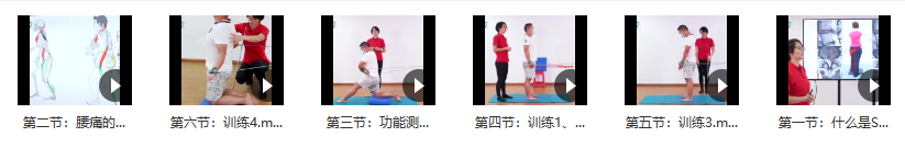 陈冬凤 sps螺旋肌肉稳定