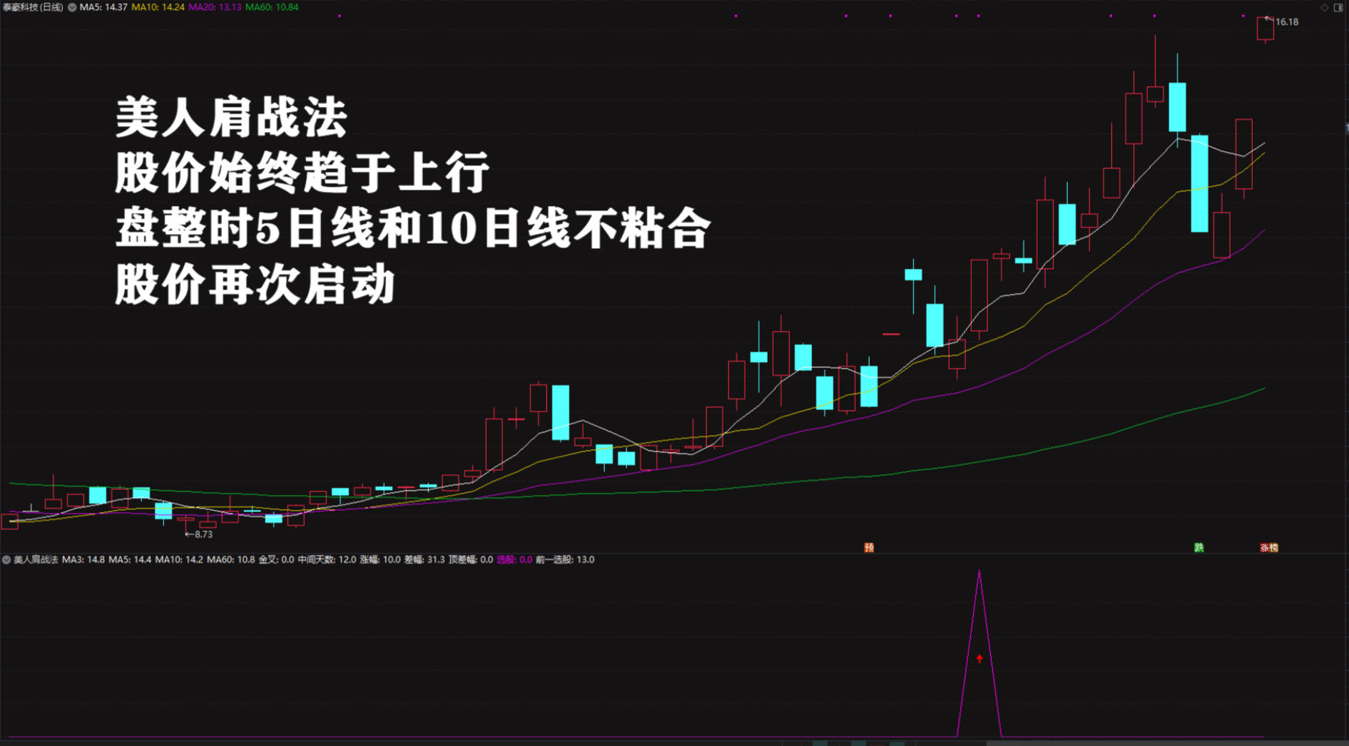 2026绝品指标二次起涨【美人肩战法】主力吸筹洗盘拉升趋势选股无未来电…