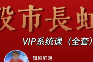 旗帜鲜明马志明老师高级技术系统 股市长虹VIP课程