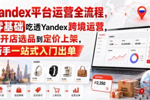 Yandex平台运营全流程，零基础吃透Yandex跨境运营，从开店选品到定价上…