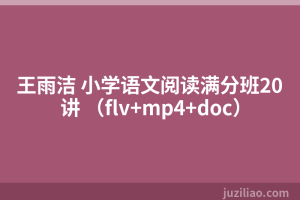 王雨洁 小学语文阅读满分班20讲 （flv+mp4+doc）