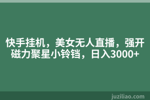 快手挂机，美女无人直播，强开磁力聚星小铃铛，日入3000+
