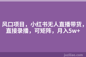 风口项目，小红书无人直播带货，直接录播，可矩阵，月入5w+