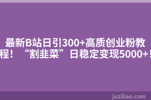 最新B站日引300+高质创业粉教程！“割韭菜”日稳定变现5000+！