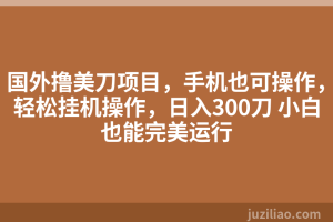国外撸美刀项目，手机也可操作，轻松挂机操作，日入300刀 小白也能完美运行