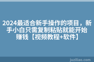 2024最适合新手操作的项目，新手小白只需复制粘贴就能开始赚钱【视频教程+软件】