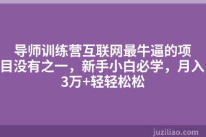 导师训练营互联网最牛逼的项目没有之一，新手小白必学，月入3万+轻轻松松