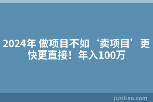 2024年 做项目不如‘卖项目’更快更直接！年入100万