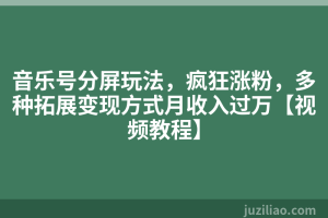 音乐号分屏玩法，疯狂涨粉，多种拓展变现方式月收入过万【视频教程】