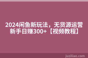 2024闲鱼新玩法，无货源运营新手日赚300+【视频教程】