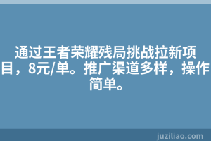 通过王者荣耀残局挑战拉新项目，8元/单。推广渠道多样，操作简单。