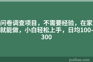 问卷调查项目，不需要经验，在家就能做，小白轻松上手，日均100-300