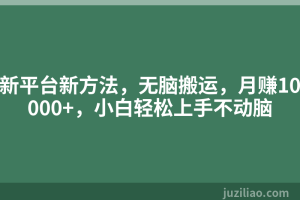 新平台新方法，无脑搬运，月赚10000+，小白轻松上手不动脑