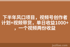 下半年风口项目，视频号创作者计划+视频带货，单日收益1000+，一个视频两份收益