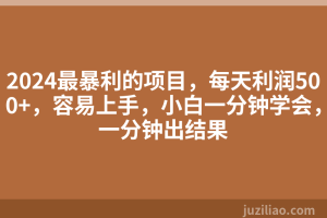 2024最暴利的项目，每天利润500+，容易上手，小白一分钟学会，一分钟出结果