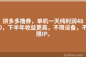 拼多多撸券，单机一天纯利润480，下半年收益更高，不限设备，不限IP。