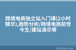 跨境电商独立站入门课(2小时精华),趋势分析/跨境电商前世今生/建站演示等