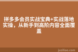 拼多多会员实战宝典+实战落地实操，从新手到高阶内容全面覆盖