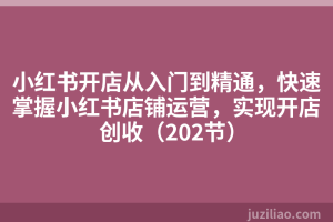 小红书开店从入门到精通，快速掌握小红书店铺运营，实现开店创收（202节）