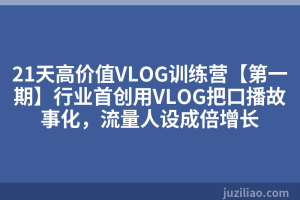 21天高价值VLOG训练营【第一期】行业首创用VLOG把口播故事化，流量人设成倍增长