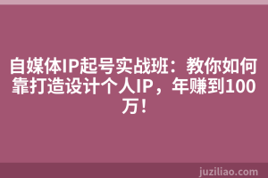 自媒体IP起号实战班：教你如何靠打造设计个人IP，年赚到100万！