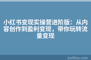 小红书变现实操营进阶版：从内容创作到盈利变现，带你玩转流量变现