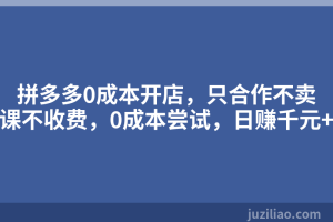 拼多多0成本开店，只合作不卖课不收费，0成本尝试，日赚千元+