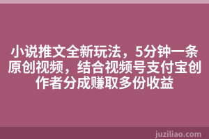 小说推文全新玩法，5分钟一条原创视频，结合视频号支付宝创作者分成赚取多份收益