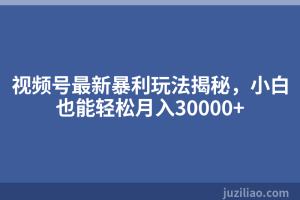 视频号最新暴利玩法揭秘，小白也能轻松月入30000+